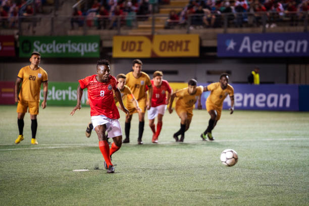 纷纷开始尝 纷纷开始尝