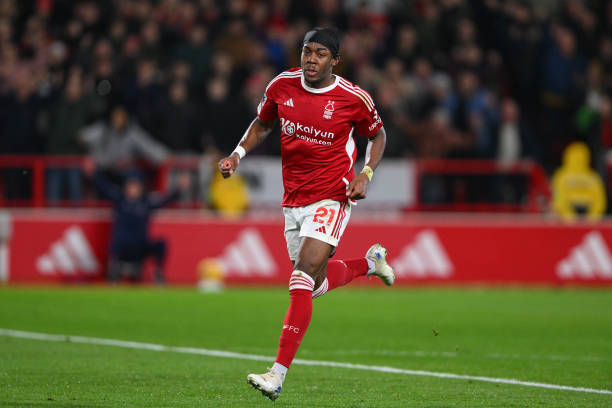 新秀与老将 新秀与老将